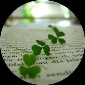 Meet your Posher, Cloever